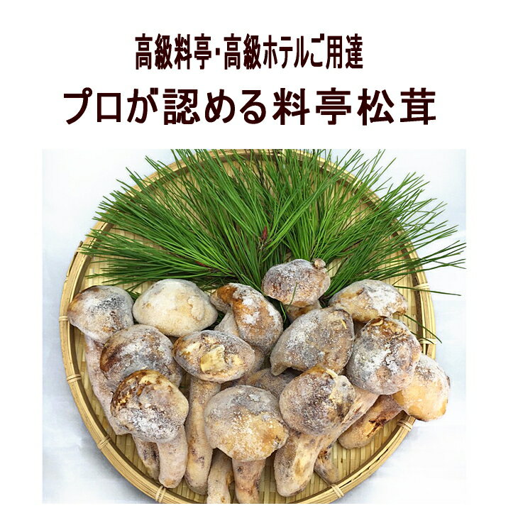 【送料無料】訳あり サイズおまかせ料亭松茸食べきり250g【楽天ランキング受賞】【お吸い物】【バーベ...:daiichibutsusan:10000027