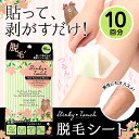 スリンキータッチ 脱毛シート スリンキータッチ ボディ むだ...