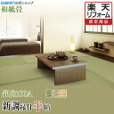 【畳】【畳新調・畳替え】【畳交換】【和紙畳】 半帖 銀白100Aシリーズ◆縁付き 色褪せにくく丈夫で長持ち!畳ならダイケンの「健やかおもて」【RCP】