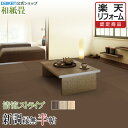 【畳】【畳新調・畳替え】【畳交換】【和紙畳】 半帖 清流ストライプ シリーズ◆縁無し半畳 色褪せにくく丈夫で長持ち!畳ならダイケンの「健やかおもて」【RCP】
