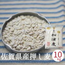 押し麦 国産 送料無料 10kg 佐賀県産 押麦 無添加 麦ご飯 国産 大麦 送料無料 雑穀 国産雑穀 あす楽 押し麦クッキー 押し麦グラノーラ 押し麦サラダ 麦ごはん 押し麦スープ 【 スーパー大麦 もち麦 ではありません】 スーパーセール 割引アイテム 10%OFF