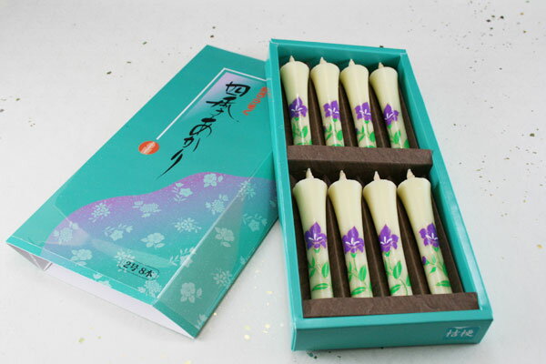 ˡ£ʪˤŬڥӥ塼5%OFF۳¥...