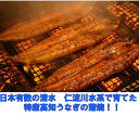 【送料無料】特産高知うなぎ蒲焼き 2尾セット【丑の日/お中元...