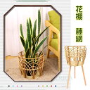 フラワースタート 花棚 藤網 コンパクト レトロ クラシック 可愛い コンパクト スリムスタート ガーデン シンプル 簡約 便利 リビング アンティーク2111-AL16