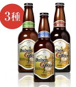 送料無料 鳥取 地ビール ビール 6本 セット 大山Gビール...