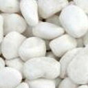 【送料無料】【玉砂利】白仙【小(20~30mm)】【20kg】※代引き不可商品※【K】
