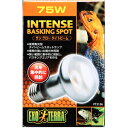 【PET】GEX エキゾテラ ライティング 爬虫類・両生類用 サングロータイトビームバスキング スポットランプ75W PT2136 【J】(PET) JAN4972547019097