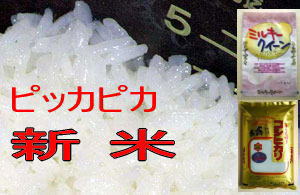 23年福島県産会津コシヒカリ5kg会津ミルキークイーン5kg「米」「米 10kg 送料無料」 送料無料 水 米 ドリンクあす楽対応 「こめ 10k」