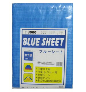 ֥롼ȡ3000Ĥᡡ5.49.0m