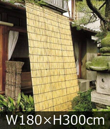 褷ʤƤƤ˹⤵300߶180cm(106)