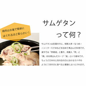 サムゲタン半身 800g(約2人前)