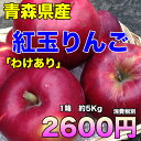 【わけあり★送料無料】青森県産紅玉りんご 約5kg 昔懐かし...