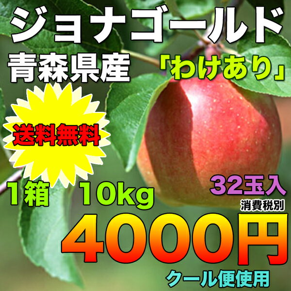 【訳あり★期間限定】青森県産ジョナゴールド　32玉入　約10kg　※北海道、沖縄県離島は除く 【RCP】