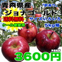 【送料無料★クール便使用】青森県産ジョナゴールド 約5kg サイズばらばら 【訳あり】※北海道・沖縄離島は除く 【RCP】