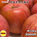 訳あり 青森県 ジョナゴールド 10kg 送料無料 りんご 10kg ジョナゴールド ご家庭用