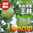 【訳あり★送料無料】青森県産王林りんご 約5kg 糖度保証 サイズいろいろ クール便使用 ※北海道・沖縄県・離島は除く【RCP】