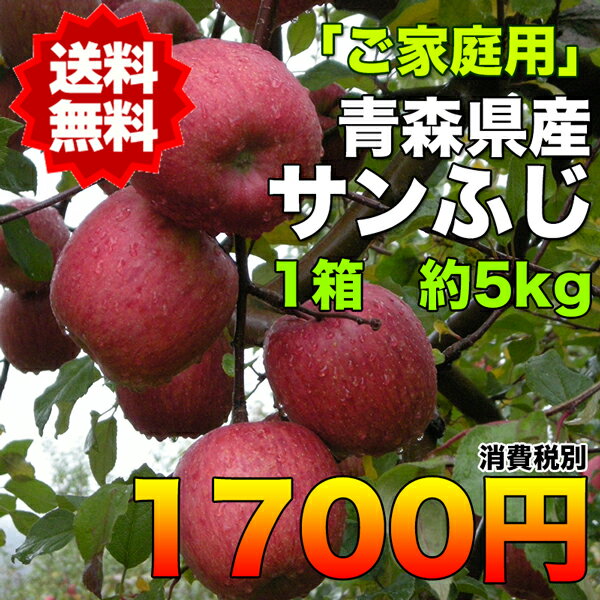 【ご家庭用】青森県産サンふじりんご　約5kg　糖度保証　サイズいろいろ　　※北海道・沖縄離島は除く【RCP】