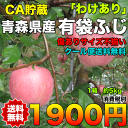 【訳あり★クール便送料無料】青森県産有袋ふじりんご 約5kg...