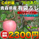 【訳あり★クール便送料無料】青森県産有袋ふじりんご 約5kg...