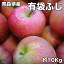 訳あり 青森県産 有袋 ふじ りんご 10kg 糖度保証 サイズいろいろ りんご 10Kg クール
