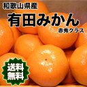 【送料無料】ジューシーで味が凝縮!和歌山県産 有田みかん 赤秀 Mサイズ 1箱 約5kg 【RCP】※北海道・沖縄県離島は別途送料必要