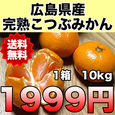 広島県産　完熟こつぶみかん　約10kg　1999円　※沖縄県離島へは別途送料必要　