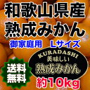 【送料無料】和歌山県産熟成みかん Lサイズ 約10kg ご家...