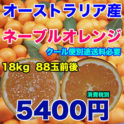 オーストラリア産 ネーブルオレンジ 約18kg 5400円 糖度保証 88玉 クール便別途送料必要※北海道・沖縄県離島は除く【RCP】 ランキングお取り寄せ
