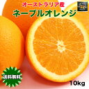 オレンジ ネーブル 送料無料 オーストラリア産 ネーブルオレンジ 10kg 糖度保証 44玉前後