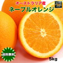 オレンジ ネーブル 送料無料 オーストラリア産 ネーブルオレンジ 5kg 糖度保証 22玉前後
