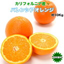 オレンジ バレンシア 送料無料 カリフォルニア産 バレンシア オレンジ 糖度保証 10kg 44玉前後