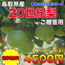 【送料無料】鳥取県産20世紀梨 ご贈答用 1箱 約5kg(10〜16玉入)橋本さんちの梨シリーズ【RCP】