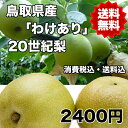 【わけあり★送料無料】鳥取県産20世紀梨 お試し用 約5kg...