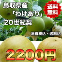 【わけあり★送料無料】鳥取県産20世紀梨 お試し用 約5kg...