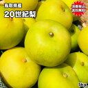 鳥取県産 20世紀 梨 5kg 10〜20玉 訳あり お試し...