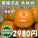 【消費税込★送料無料】愛媛県産太秋柿 ご家庭用 4L〜Lサイズ(12玉〜18玉入) おどろきの新食感!【RCP】