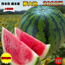 【送料無料★訳あり】熊本県産夢大地西瓜 2Sサイズ 約3Kg以上 ご家庭用 糖度光セン