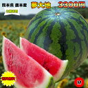 【送料無料】熊本県産夢大地西瓜 Mサイズ 約5Kg以上 ご贈...