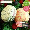 野菜 スィーツ自然食品 乳酸菌 美容食 ギフト お返し 御祝 御礼ダロワイヨ マカロン プリュス ルージュ&ノワール 入学 卒業 退職祝 御祝 御礼 洋菓子 ギフト 内祝 お誕生日 志