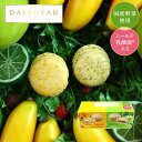 野菜 スィーツ 自然食品 乳酸菌 美容食 ギフト お返し 御祝 御礼ダロワイヨ マカロンプリュス ジョーヌ&ヴェール 入学 卒業 退職祝 御祝 御礼 洋菓子 ギフト 内祝 お誕生日 志