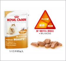 ロイヤルカナン　ウェットフードインテンス　ビューティ　85g【美しさを保ちたい猫用】【1〜10歳の皮膚や毛艶が気になる猫】【MB-KP】