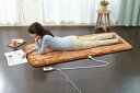 【送料無料】椙山紡織 あったかごろ寝マット NA-39GM(C) ホットマット ホットカーペット パーソナルマット あったか 電気暖房 パーソナル暖房 なかぎし 電熱 ヒーター キャメル 電気マット 電気カーペット