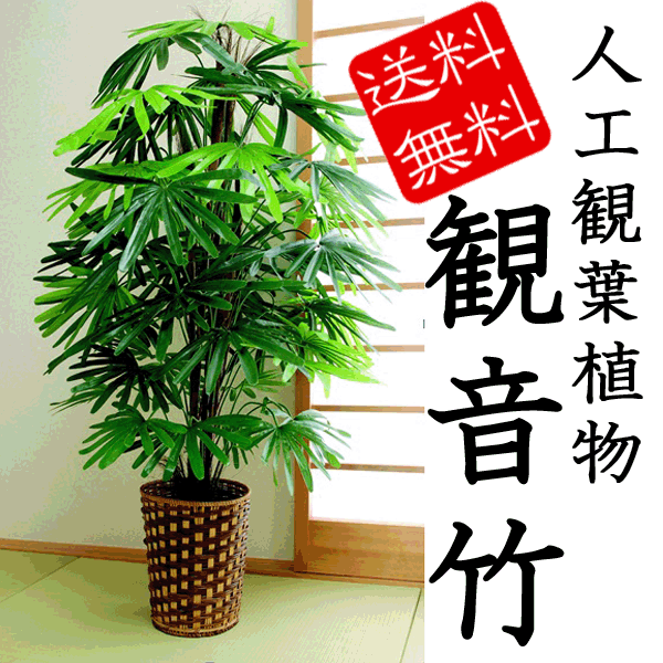 【送料無料】人工観葉植物 観音竹　 　樹木 株立 インテリア グリーン 部屋 キレイ 無機…...:dantotsu-online:10001042