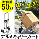 【送料無料】アルミ製パワフルキャリーカート 折りたたみ 運搬 台車 マルチキャリー キャリーワゴン ハンドキャリー 灯油 ビールケース アウトドア ショッピング 買い物 旅行カバン 軽量 軽い 頑丈 荷物 灯油缶 車輪 アルミカート レジャー BBQ 荷車 新聞 ハウスカー