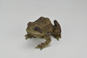 ガーデンオーナメント アカガエル 小 リアル 置物 庭 かわいい 蛙 動物 本物そっくり 池 水周り オブジェ おしゃれ ガーデニング 外国風 ガーデンマスコット