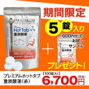 【送料無料】【ポイント10倍】プレミアムホットタブ