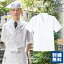 白衣 半袖 男性 調理服 調理白衣 半袖白衣 arbe アルベ DN-8209 【男女兼用】和食 飲食店 サービス業 厨房 制服 レストラン ユニフォーム レディース メンズ チトセ