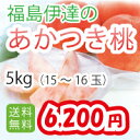 【福島県伊達産】【桃送料無料】あかつき5kg(15〜16玉)福島桃 産地直送【D】