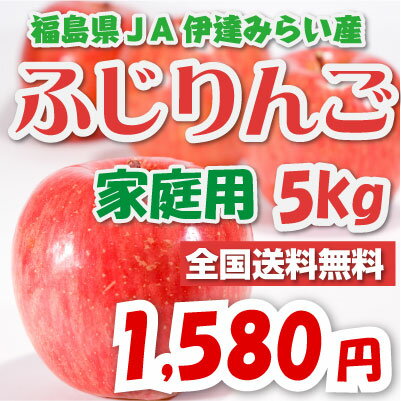 福島県JA伊達みらい産「ふじりんご」ご自宅用5kg1580円【お得用】【送料無料】