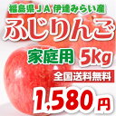 福島県JA伊達みらい産「ふじりんご」ご自宅用5kg1580円ご家庭用「ふじりんご」